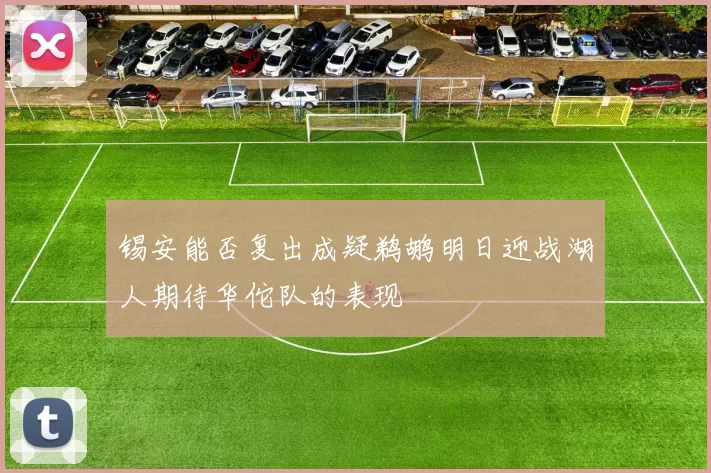 锡安能否复出成疑鹈鹕明日迎战湖人期待华佗队的表现