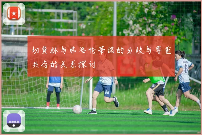 切费林与弗洛伦蒂诺的分歧与尊重共存的关系探讨