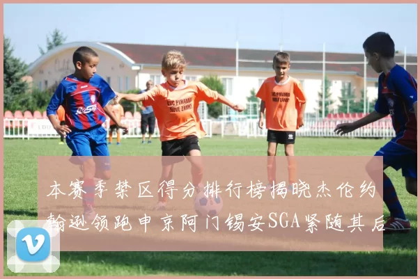 本赛季禁区得分排行榜揭晓杰伦约翰逊领跑申京阿门锡安SGA紧随其后