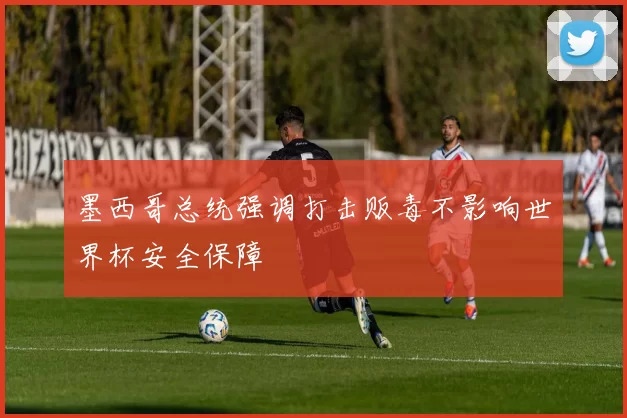 墨西哥总统强调打击贩毒不影响世界杯安全保障